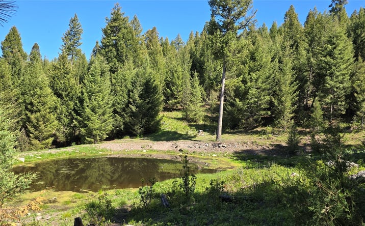 Pictures of Land property located at 4 Tract, Drummond, MT 59832 for sales - image #1