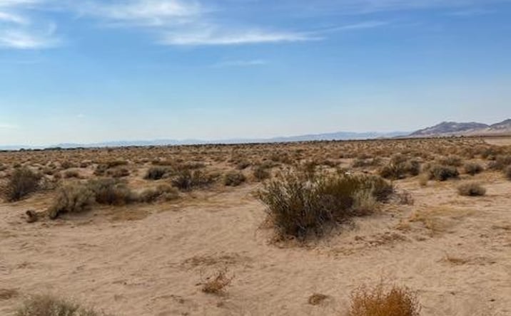 Pictures of Land property located at Silver Valley Rd, Newberry Springs, CA 92365 for sales - image #1