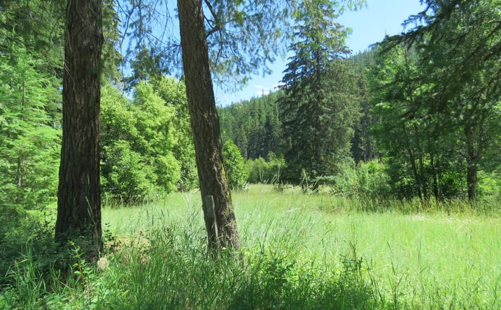 Pictures of Land property located at 2013 Five Mile Creek Road, Libby, MT 59923 for sales - image #1