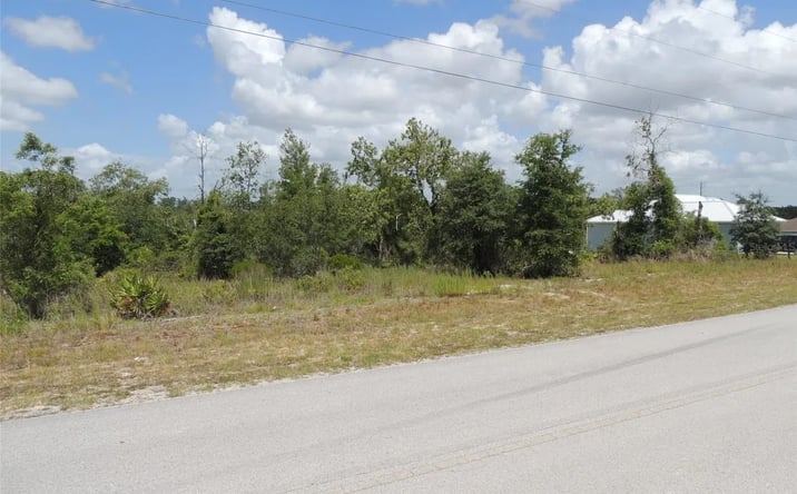 Pictures of Land property located at 13591 NE 51st Ln, Williston, FL 32696 for sales - image #1