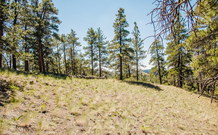 Pictures of Land property located at Lot 23 Dearborn River Road, Cascade, MT 59421 for sales - image #1