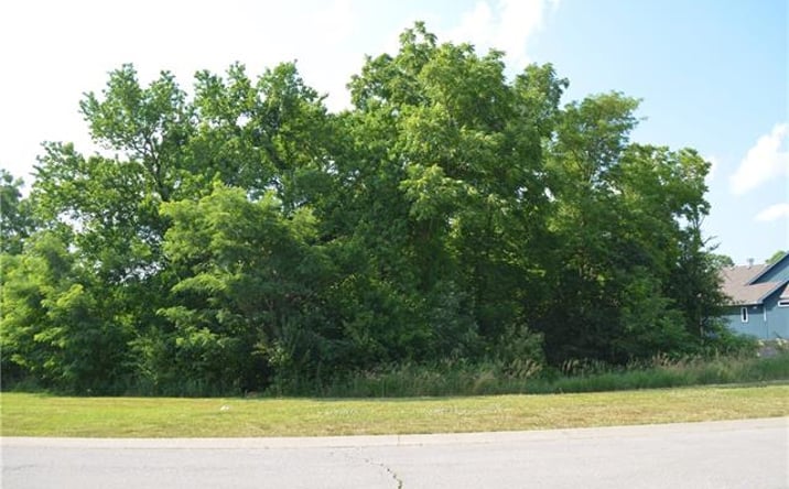 Pictures of Land property located at 6854 N Norton Avenue, Gladstone, MO 64119 for sales - image #1
