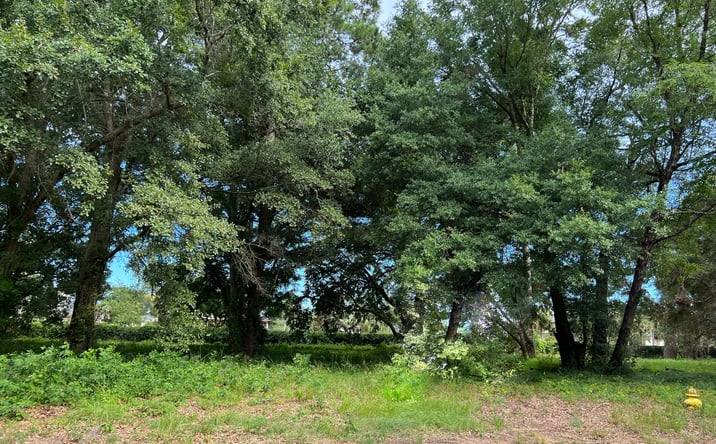 Pictures of Land property located at TBD Wall St, Pawleys Island, SC 29585 for sales - image #1