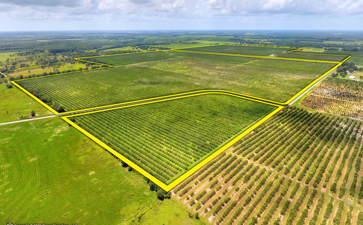 Pictures of Land property located at 5015 Fish Branch Rd, Zolfo Springs, FL 33890 for sales - image #1