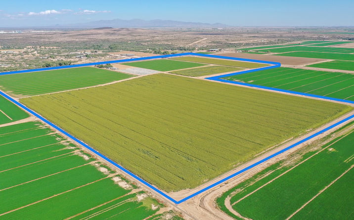 Pictures of Land property located at 33311 W Ray, Arlington, AZ 85322 for sales - image #1
