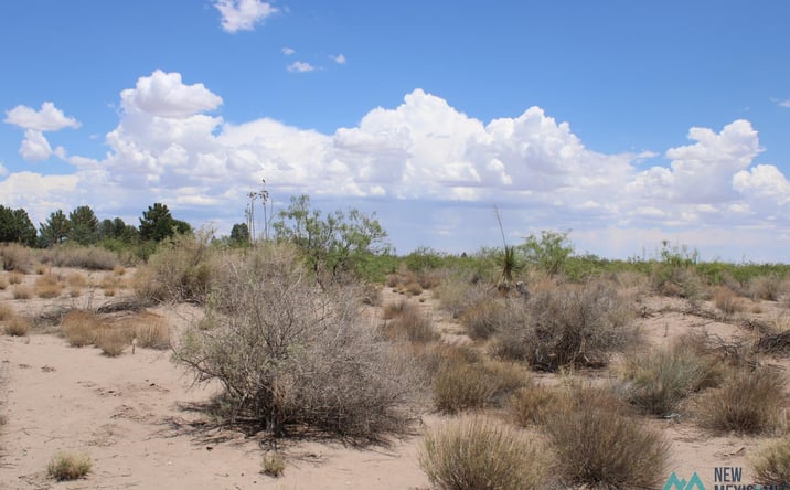Pictures of Land property located at Tomorrow Land Estates, Deming, NM 88030 for sales - image #1