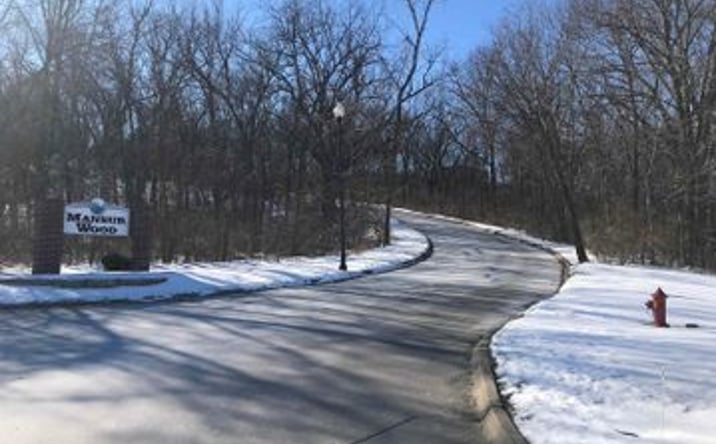 Pictures of Land property located at 704 Massy Ln, Carbon Cliff, IL 61239 for sales - image #1