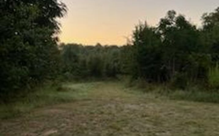 Pictures of Land property located at 0 Hillview Rd, Hampton, GA 30228 for sales - image #1