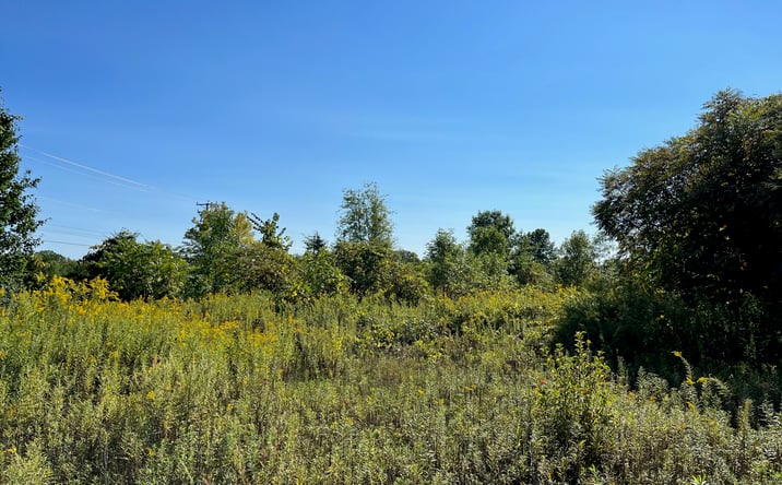 Pictures of Land property located at 91 S Putt Corners Rd, New Paltz, NY 12561 for sales - image #1