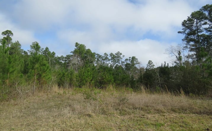 Pictures of Land property located at 6046 1st St, Bay St. Louis, MS 39520 for sales - image #1