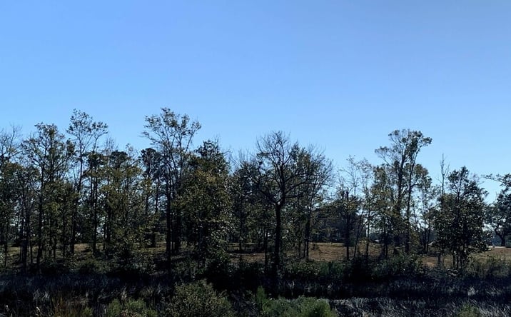 Pictures of Land property located at Lot 17 Wetzel Drive, Biloxi, MS 39532 for sales - image #1