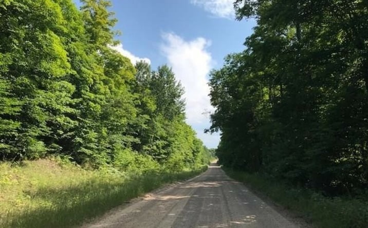 Pictures of Land property located at TBD Rock River Rd, Deerton, MI 49822 for sales - image #1