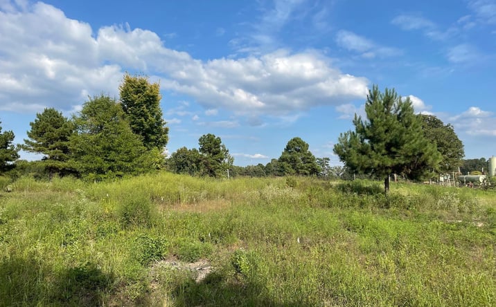 Pictures of Land property located at North Point Pleasant Rd, Gladewater, TX 75647 for sales - image #1