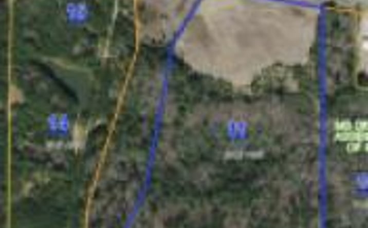 Pictures of Land property located at 0000 Hwy 16 West, Philadelphia, MS 39350 for sales - image #1