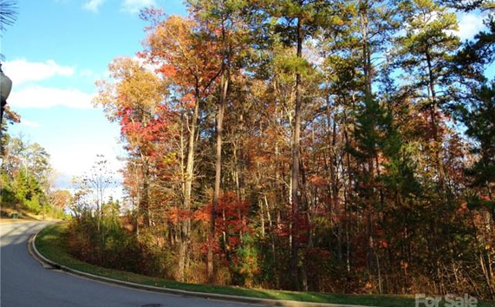 Pictures of Land property located at Camptown Rd, Brevard, NC 28712 for sales - image #1
