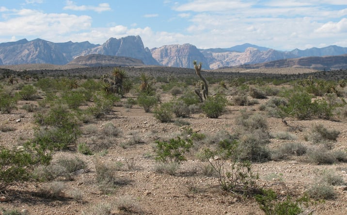 Pictures of Land property located at W Gomer Rd, Enterprise, NV 89124 for sales - image #1