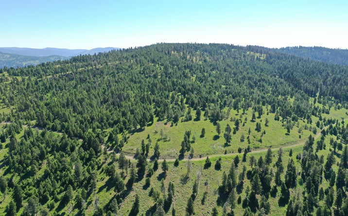 Pictures of Land property located at 14 Tract, Drummond, MT 59832 for sales - image #1