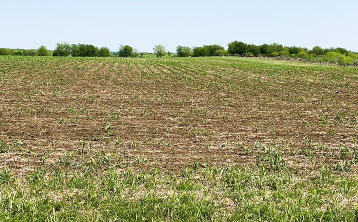Pictures of Land property located at TBD Spring Valley Rd, Moody, TX 76557 for sales - image #1