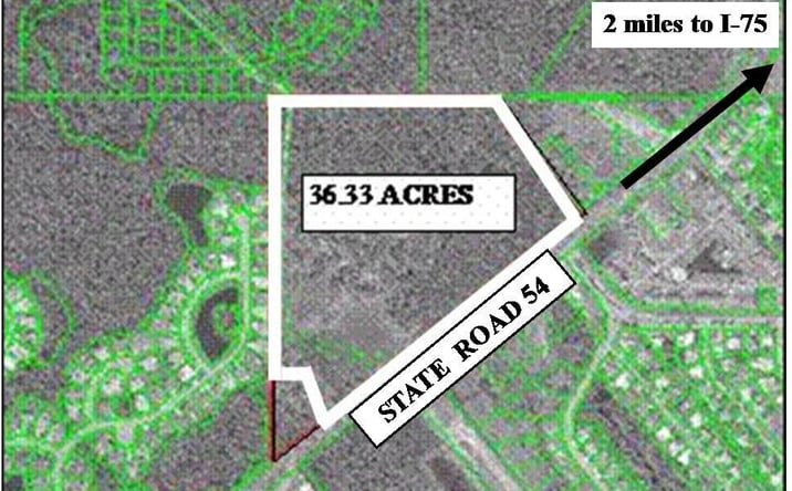 Pictures of Land property located at 0 SR 54, Lutz, FL 33559 for sales - image #1