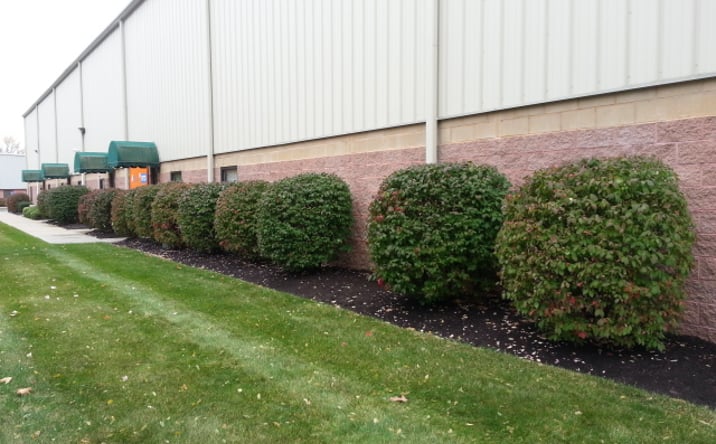 Pictures of Industrial property located at 8 Petra Ln, Colonie, NY 12205 for lease - image #1