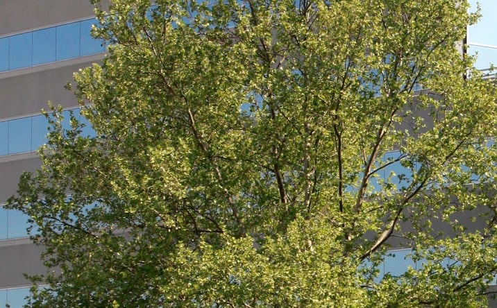 Pictures of Office property located at 2010 Corporate Ridge, McLean, VA 22102 for lease - image #1