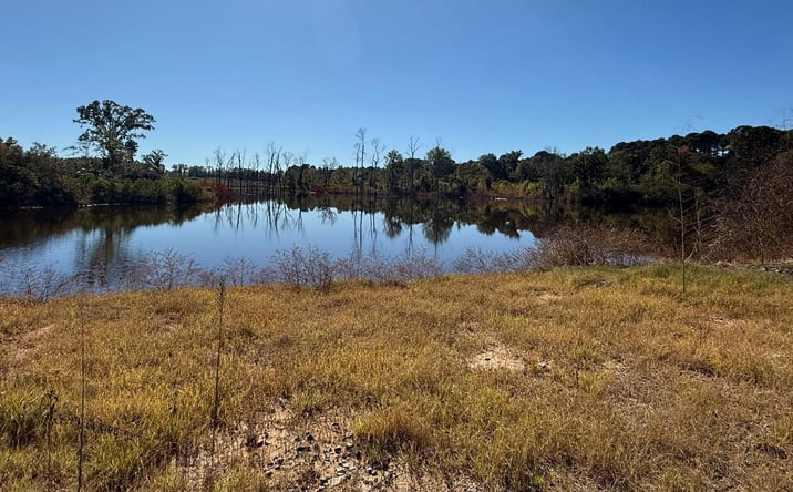 Pictures of Land property located at Greenwood Road, Shreveport, LA 71119 for lease - image #1