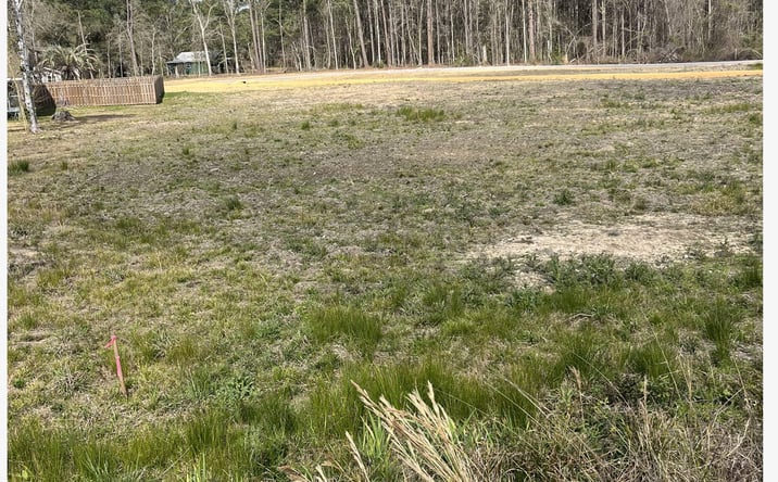 Pictures of Land property located at V F W Rd/Hwy 603, Kiln, MS 39556 for lease - image #1