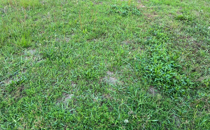 Pictures of Land property located at 2823 N East, Panama City, FL 32405 for lease - image #1