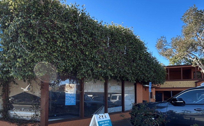 Pictures of Retail, Restaurant property located at 5550 La Jolla Boulevard, San Diego, CA 92037 for lease - image #1