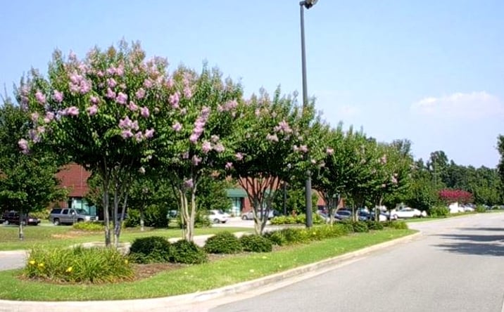 Pictures of Office, Industrial property located at 915 Interstate Ridge, Gainesville, GA 30501 for lease - image #1