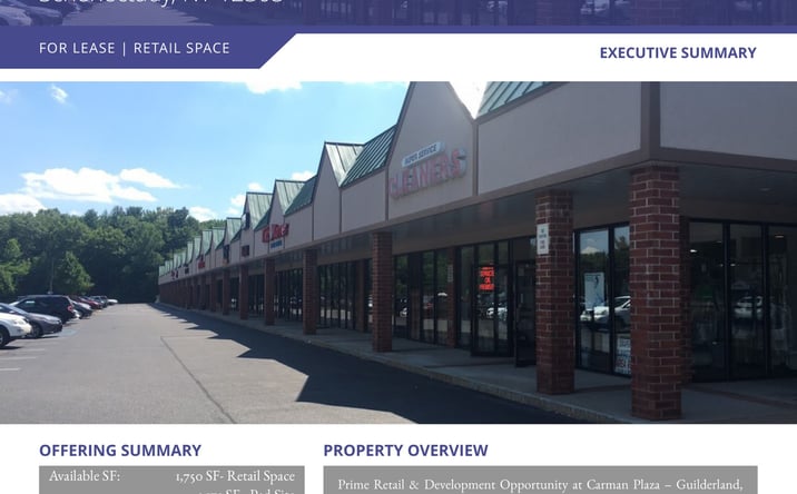 Pictures of Retail property located at 3770 Carman Road, Schenectady, NY 12303 for lease - image #1