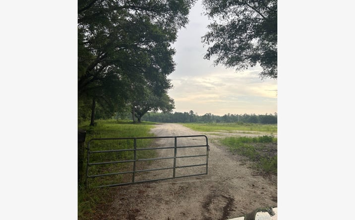 Pictures of Land property located at 1779 Florida 20, Freeport, FL 32439 for lease - image #1