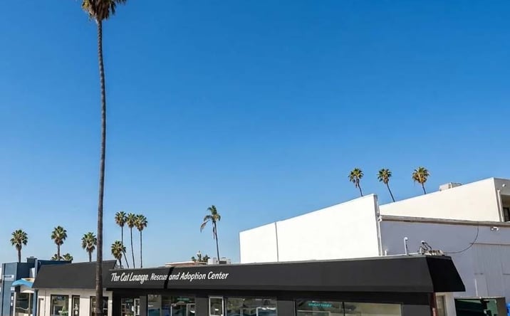 Pictures of Retail, Office property located at 1006-1010 Torrey Pines Road, La Jolla, CA 92037 for lease - image #1