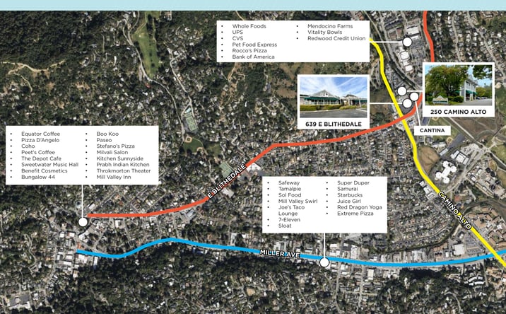 Pictures of Retail, Office property located at 250 Camino Alto, Mill Valley, CA 94941 for lease - image #1