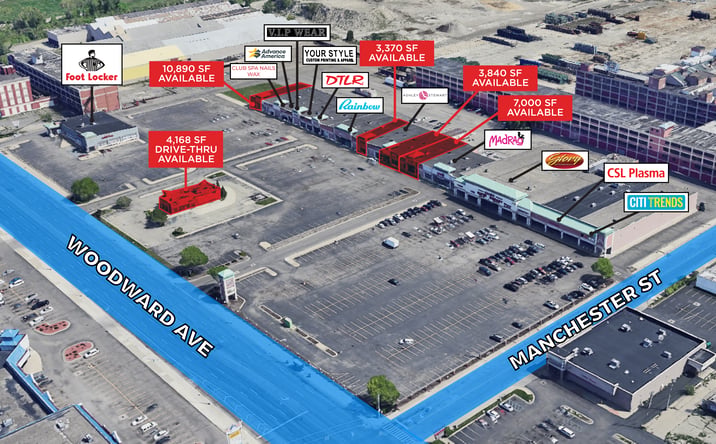 Pictures of Retail property located at 14004-14134 Woodward Avenue, Highland Park, MI 48203 for lease - image #1