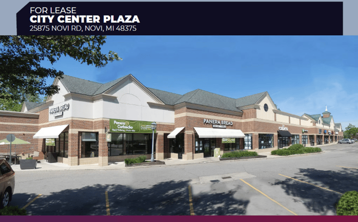 Pictures of Retail, Restaurant property located at 25875 Novi Rd, Novi, MI 48375 for lease - image #1