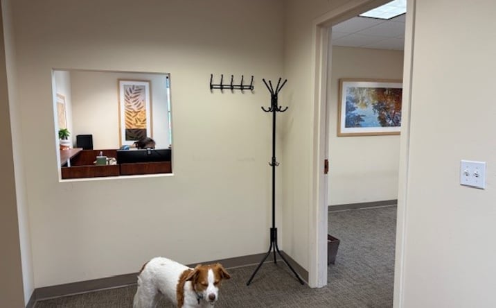 Pictures of Office property located at 46 Main St, Winooski, VT 05404 for lease - image #1