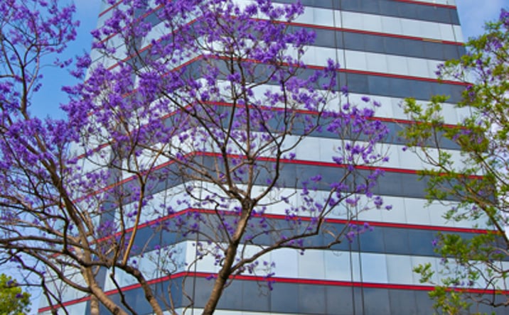 Pictures of Office property located at 3415 S Sepulveda Blvd, Los Angeles, CA 90034 for lease - image #1