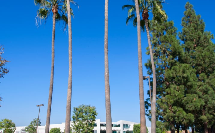 Pictures of Industrial property located at 11065-11235 Knott Ave, Cypress, CA 90630 for lease - image #1