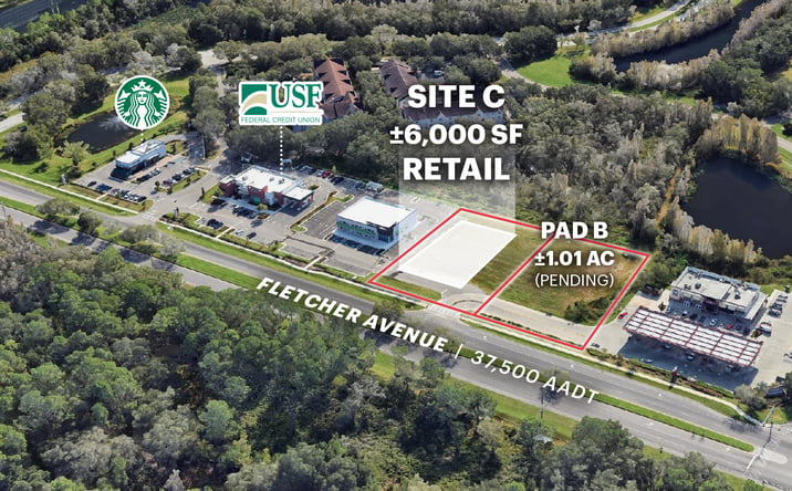 Pictures of Retail property located at 7141 E Fletcher Ave, Temple Terrace, FL 33637 for lease - image #1