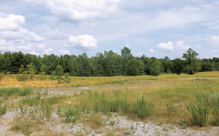 Pictures of Land property located at Robert Thomas Dr., Calera, AL 35040 for lease - image #1