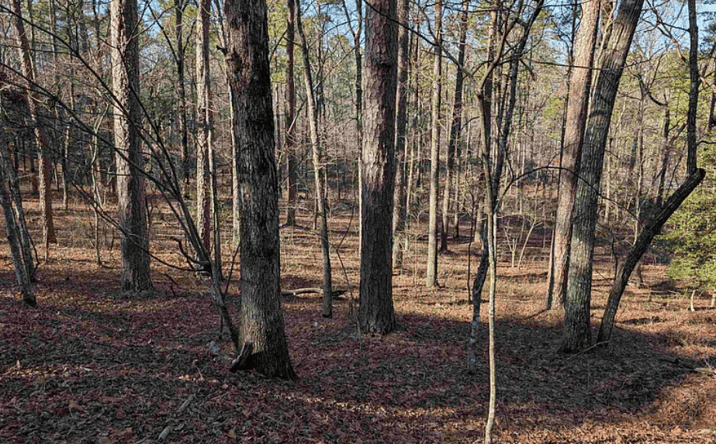 Pictures of Land property located at 8 Mesa Ln, Hot Springs Village, AR 71909 for lease - image #1