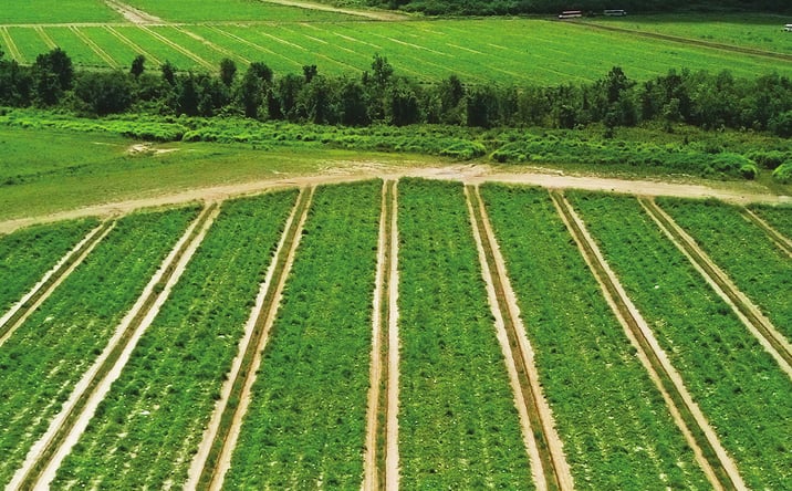 Pictures of Retail, Land property located at Manatee County Farmland, Bradenton, FL 34201 for lease - image #1