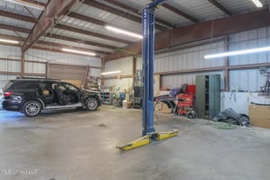 9520081