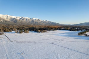 14145480