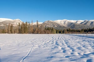 14145478