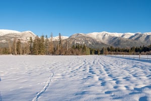 9535164