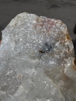 29847484