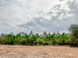 21260316