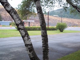 9585948